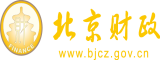 要操美国美女北京市财政局