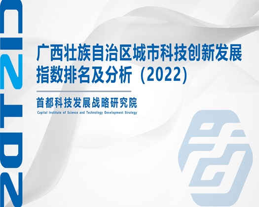 骚逼骚嫩嫩逼日逼高潮网站【成果发布】广西壮族自治区城市科技创新发展指数排名及分析（2022）